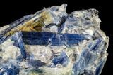 Vibrant Blue Kyanite Crystal Cluster In Quartz - Brazil #113493-1